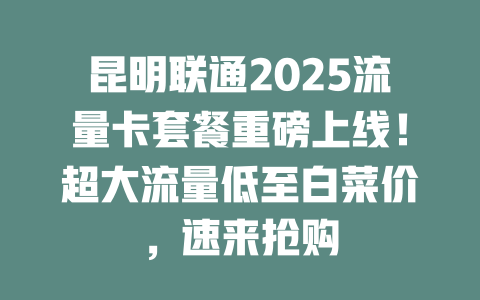 昆明联通2025流量卡套餐重磅上线！超大流量低至白菜价，速来抢购