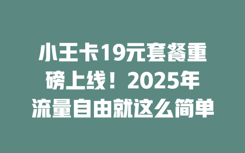 小王卡19元套餐重磅上线！2025年流量自由就这么简单