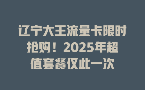 辽宁大王流量卡限时抢购！2025年超值套餐仅此一次
