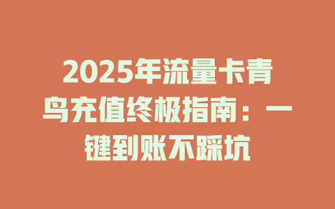 2025年流量卡青鸟充值终极指南：一键到账不踩坑