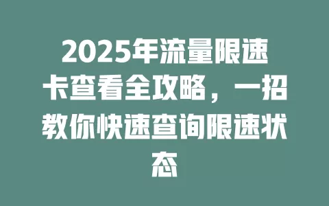 2025年流量限速卡查看全攻略，一招教你快速查询限速状态