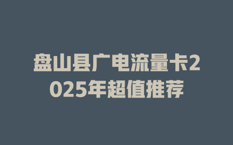 盘山县广电流量卡2025年超值推荐