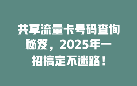 共享流量卡号码查询秘笈，2025年一招搞定不迷路！