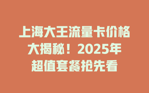 上海大王流量卡价格大揭秘！2025年超值套餐抢先看