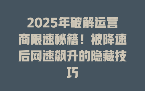 2025年破解运营商限速秘籍！被降速后网速飙升的隐藏技巧