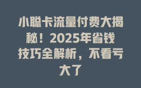 小聪卡流量付费大揭秘！2025年省钱技巧全解析，不看亏大了