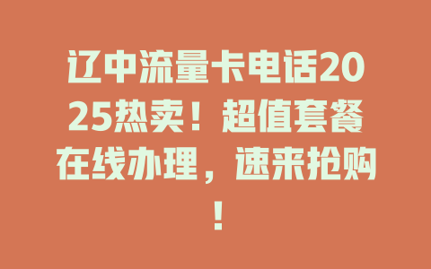 辽中流量卡电话2025热卖！超值套餐在线办理，速来抢购！
