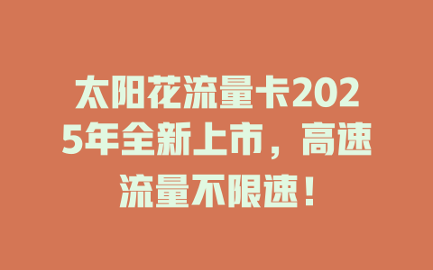 太阳花流量卡2025年全新上市，高速流量不限速！