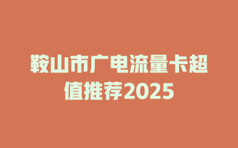 鞍山市广电流量卡超值推荐2025