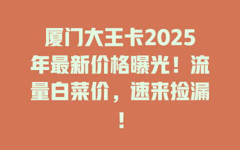 厦门大王卡2025年最新价格曝光！流量白菜价，速来捡漏！
