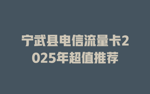 宁武县电信流量卡2025年超值推荐