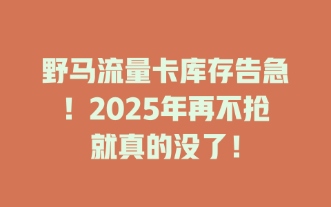 野马流量卡库存告急！2025年再不抢就真的没了！