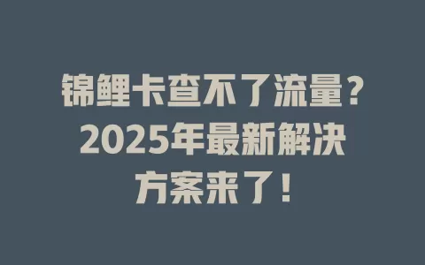 锦鲤卡查不了流量？2025年最新解决方案来了！