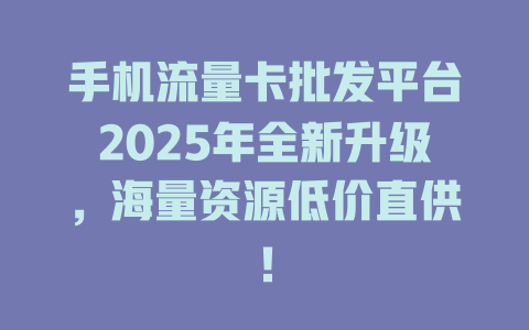 手机流量卡批发平台2025年全新升级，海量资源低价直供！