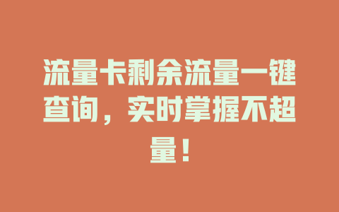 流量卡剩余流量一键查询，实时掌握不超量！