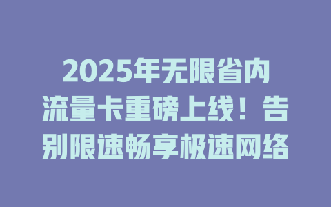 2025年无限省内流量卡重磅上线！告别限速畅享极速网络