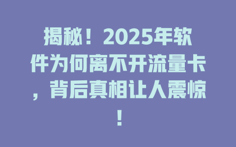 揭秘！2025年软件为何离不开流量卡，背后真相让人震惊！