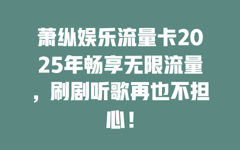 萧纵娱乐流量卡2025年畅享无限流量，刷剧听歌再也不担心！