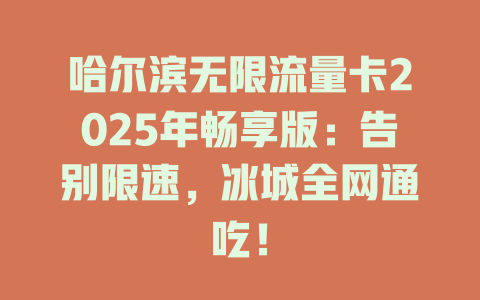 哈尔滨无限流量卡2025年畅享版：告别限速，冰城全网通吃！