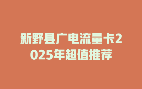 新野县广电流量卡2025年超值推荐