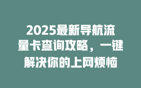 2025最新导航流量卡查询攻略，一键解决你的上网烦恼