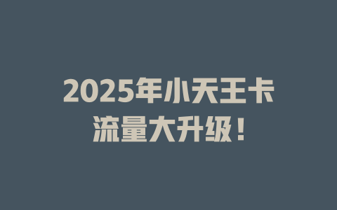 2025年小天王卡流量大升级！