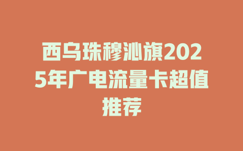 西乌珠穆沁旗2025年广电流量卡超值推荐