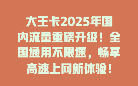 大王卡2025年国内流量重磅升级！全国通用不限速，畅享高速上网新体验！