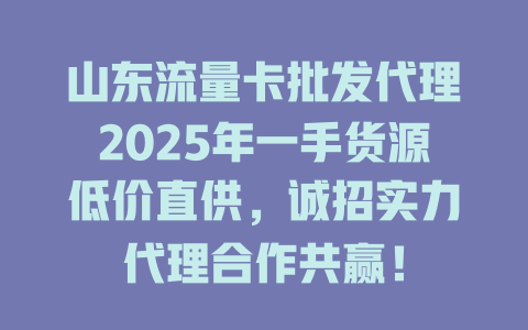 山东流量卡批发代理2025年一手货源低价直供，诚招实力代理合作共赢！
