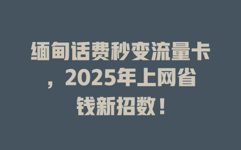 缅甸话费秒变流量卡，2025年上网省钱新招数！