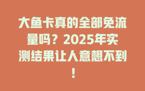 大鱼卡真的全部免流量吗？2025年实测结果让人意想不到！