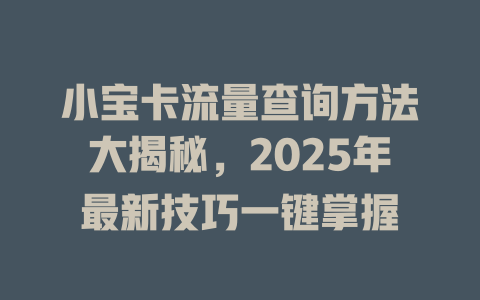 小宝卡流量查询方法大揭秘，2025年最新技巧一键掌握