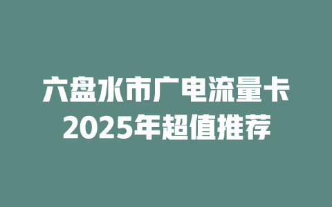 六盘水市广电流量卡2025年超值推荐