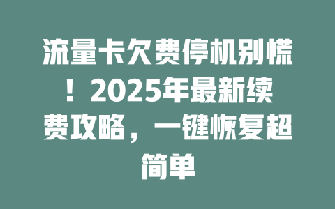 流量卡欠费停机别慌！2025年最新续费攻略，一键恢复超简单