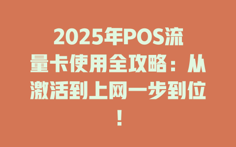 2025年POS流量卡使用全攻略：从激活到上网一步到位！