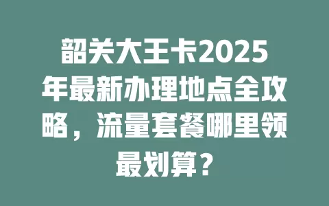 韶关大王卡2025年最新办理地点全攻略，流量套餐哪里领最划算？