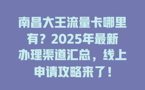 南昌大王流量卡哪里有？2025年最新办理渠道汇总，线上申请攻略来了！