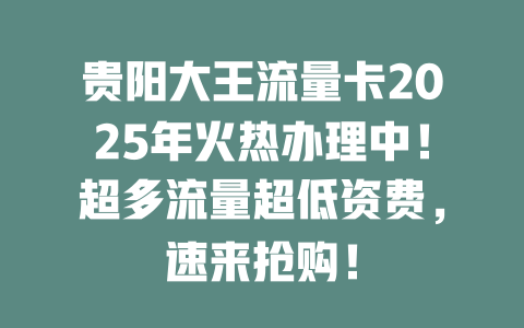 贵阳大王流量卡2025年火热办理中！超多流量超低资费，速来抢购！