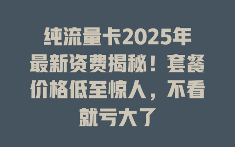 纯流量卡2025年最新资费揭秘！套餐价格低至惊人，不看就亏大了