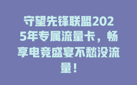 守望先锋联盟2025年专属流量卡，畅享电竞盛宴不愁没流量！