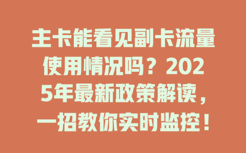 主卡能看见副卡流量使用情况吗？2025年最新政策解读，一招教你实时监控！