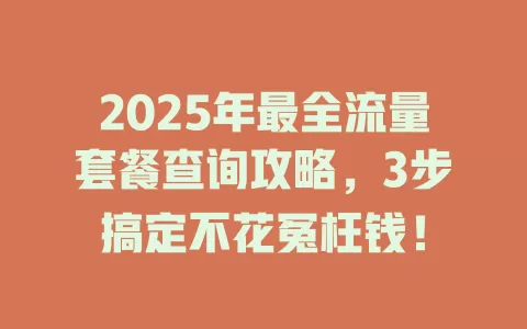 2025年最全流量套餐查询攻略，3步搞定不花冤枉钱！