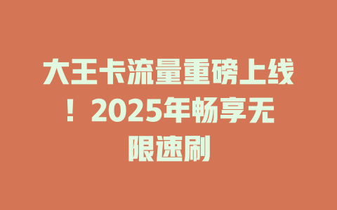 大王卡流量重磅上线！2025年畅享无限速刷