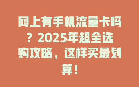 网上有手机流量卡吗？2025年超全选购攻略，这样买最划算！