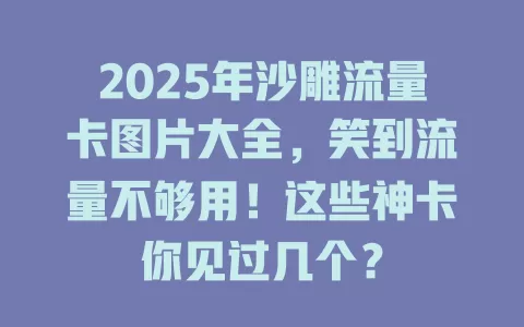 2025年沙雕流量卡图片大全，笑到流量不够用！这些神卡你见过几个？