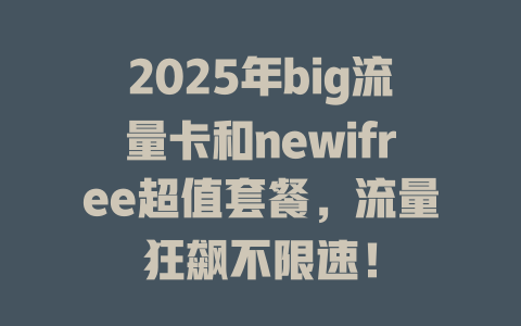 2025年big流量卡和newifree超值套餐，流量狂飙不限速！