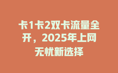 卡1卡2双卡流量全开，2025年上网无忧新选择