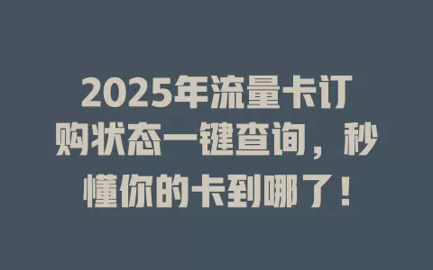 2025年流量卡订购状态一键查询，秒懂你的卡到哪了！