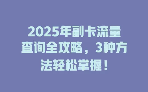 2025年副卡流量查询全攻略，3种方法轻松掌握！