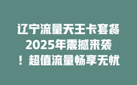辽宁流量天王卡套餐2025年震撼来袭！超值流量畅享无忧